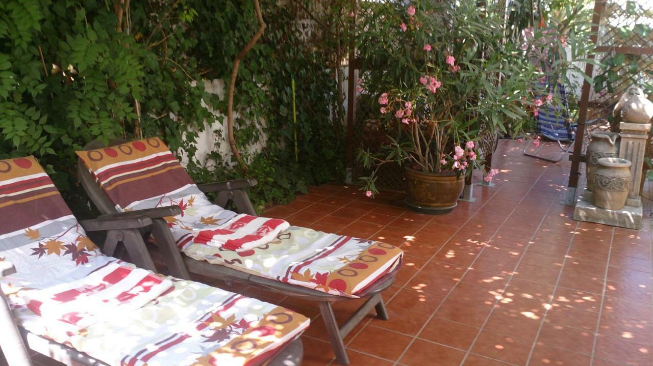 Madamme Curie Apartment Torrevieja Exteriör bild